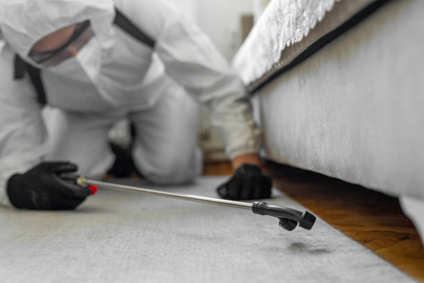 Professional Bed Bug Control technician working in Morton County County, KS